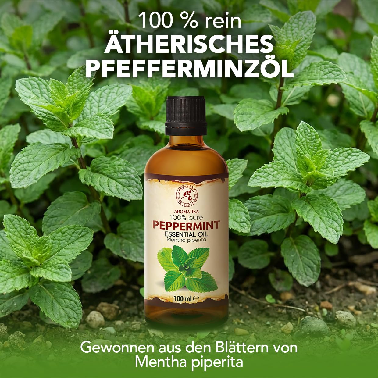 aromatika-therisches-pfefferminz-l-2x100-ml-f-r-diffuser image 2