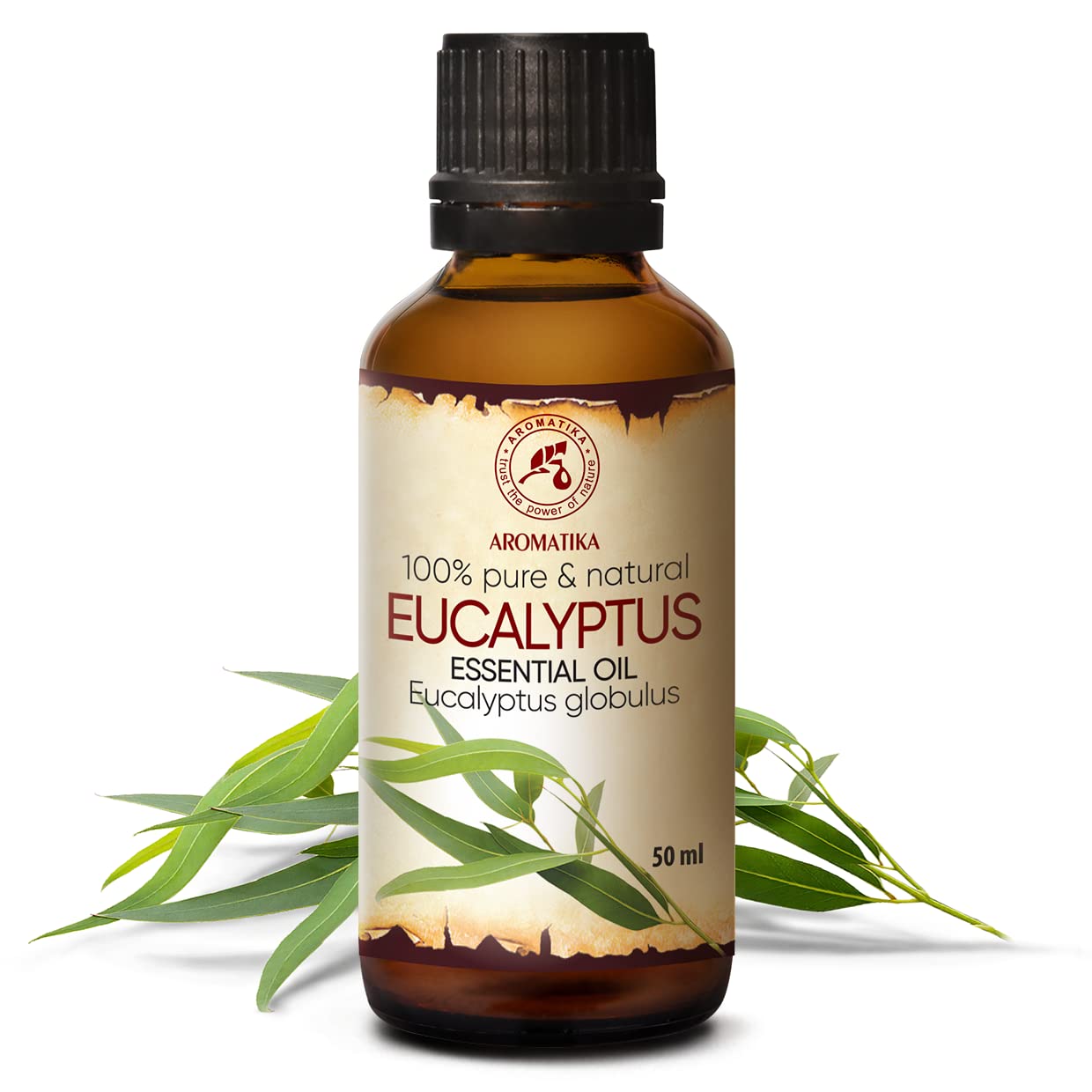 aromatika-therisches-eukalyptus-l-50-ml-eucalyptus-globulus image 2