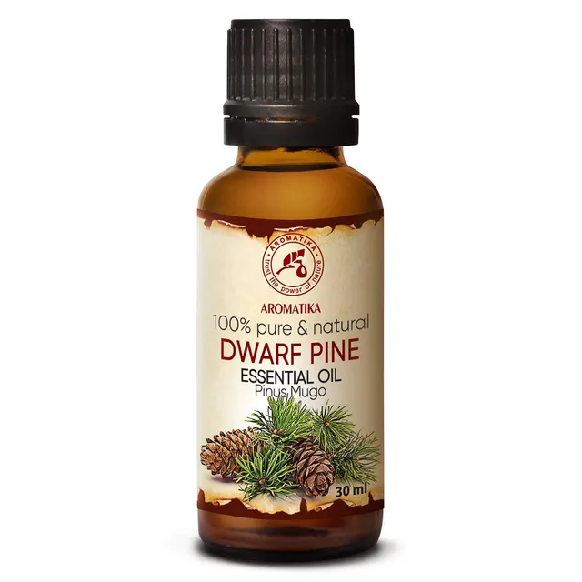 aromatika-latschenkiefer-l-30ml-pinus-mugo-aus-sterreich image 1