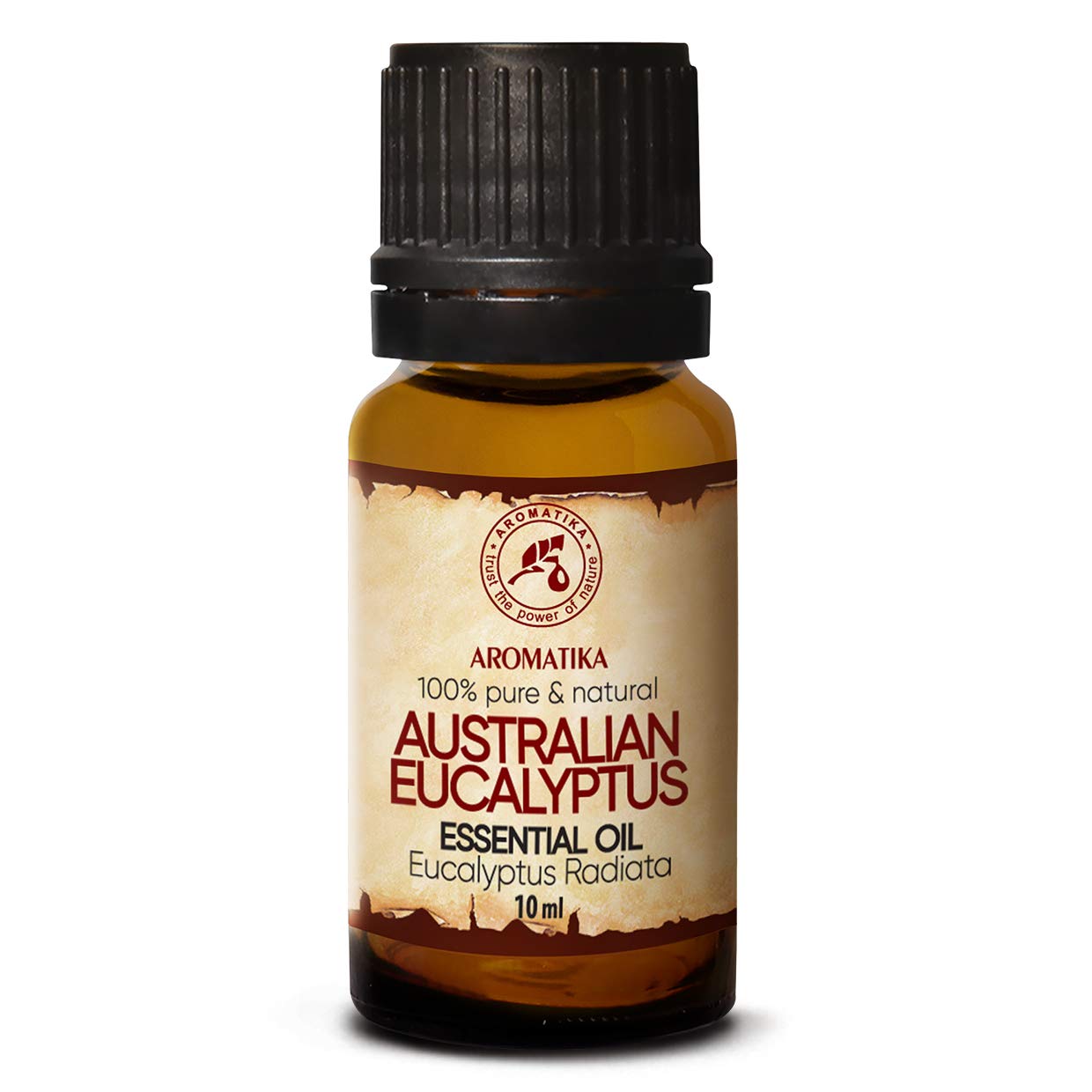 aromatika-australisches-eukalyptus-l-eukalyptus-radiata-reines-therisches-l-10-m image 1