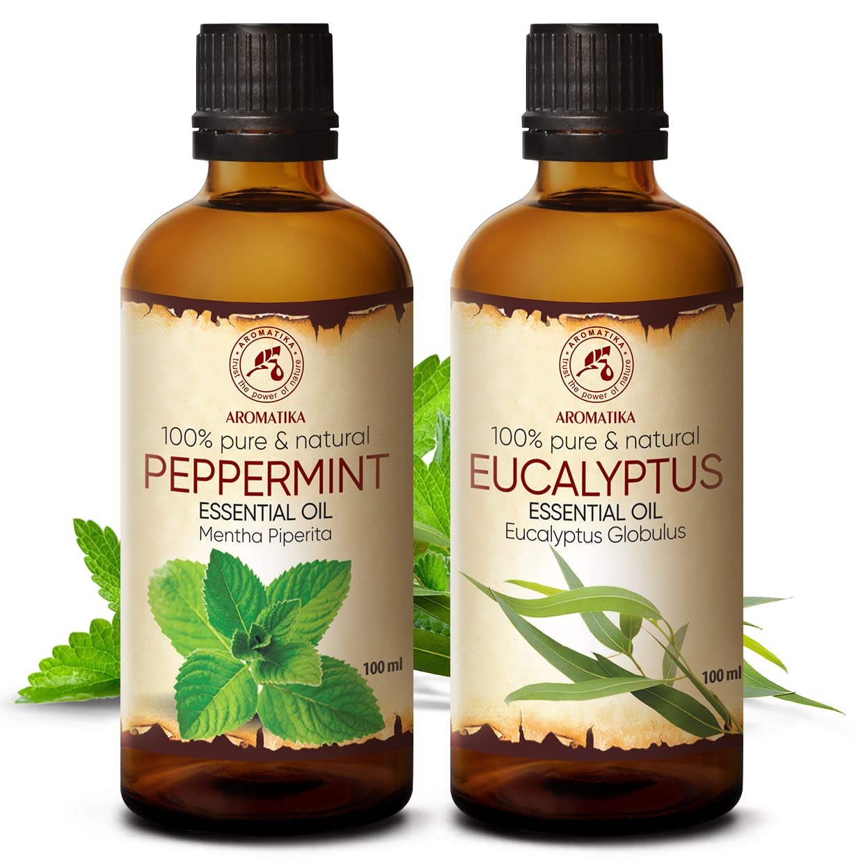 aromatika-therische-le-set-pfefferminze-eukalyptus-2x100ml image 2
