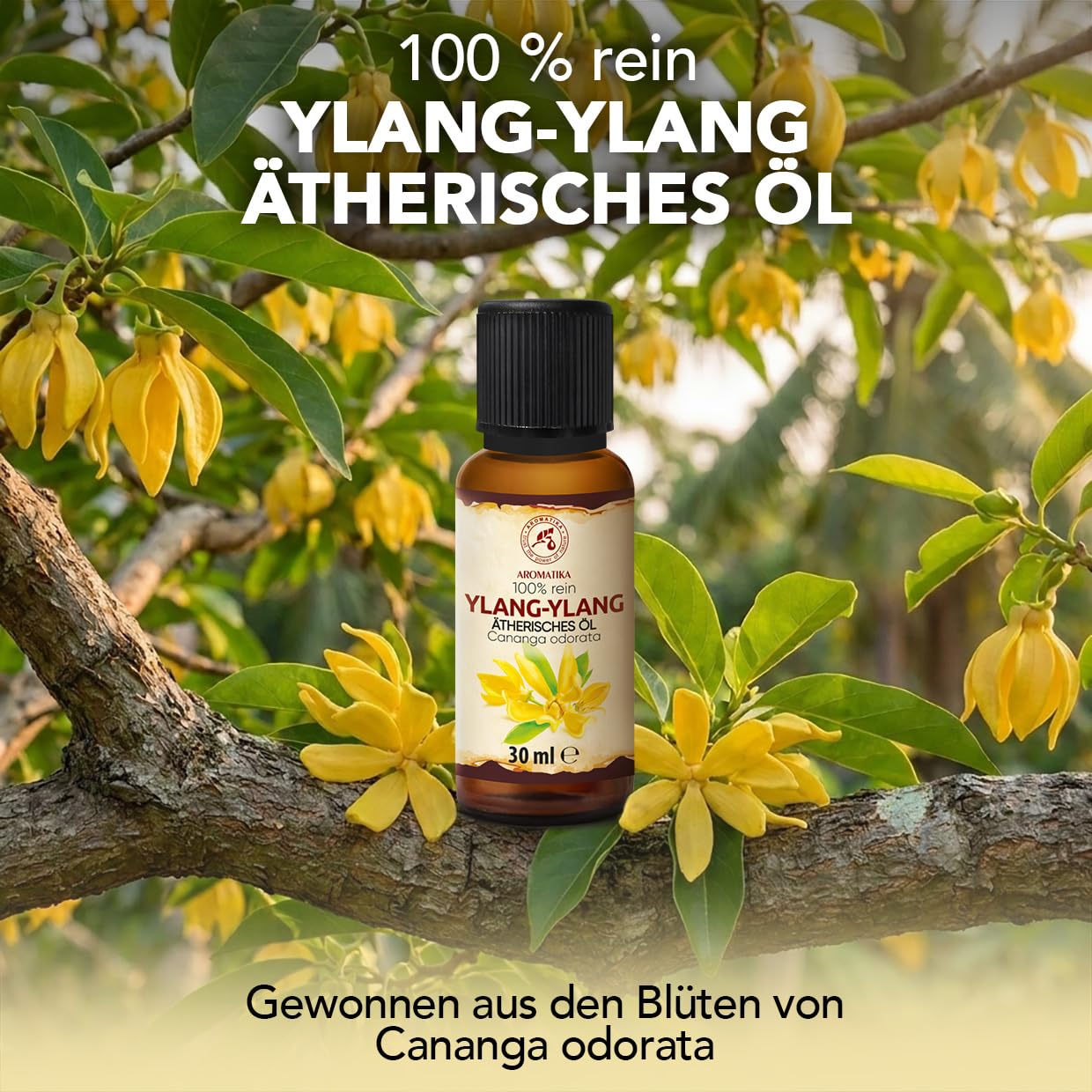 aromatika-ylang-ylang-therisches-l-30-ml-f-r-diffusor-und-duftlampe image 2
