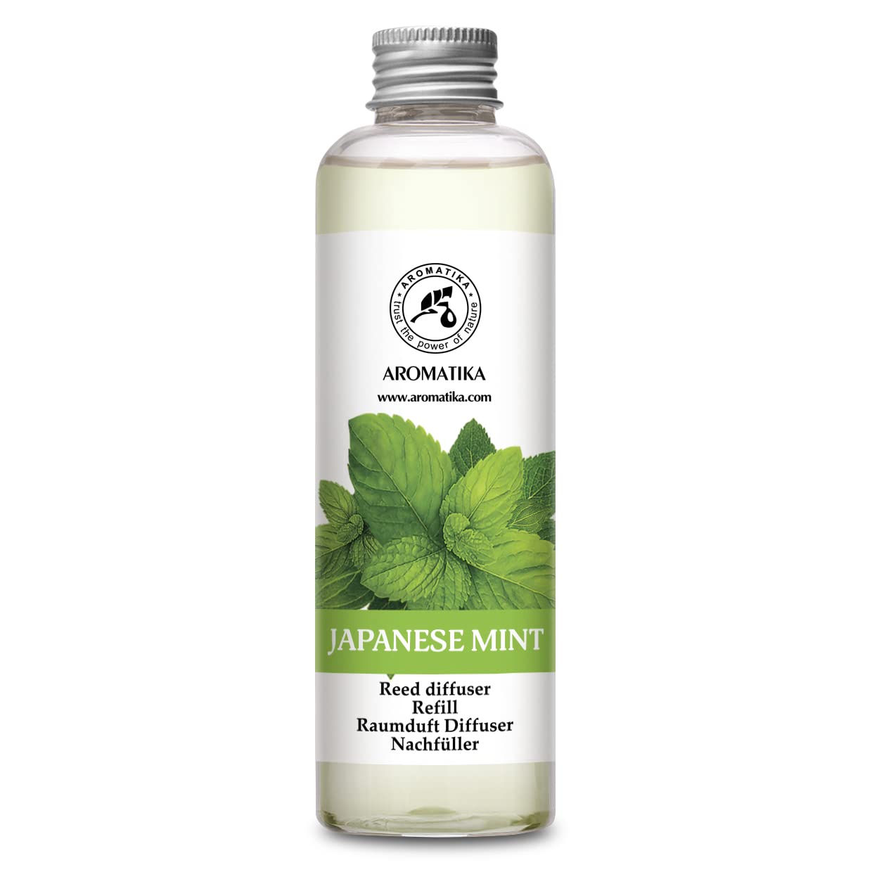 aromatika-raumduft-diffuser-japanische-minze-100ml-mit-bambusst-bchen image 8