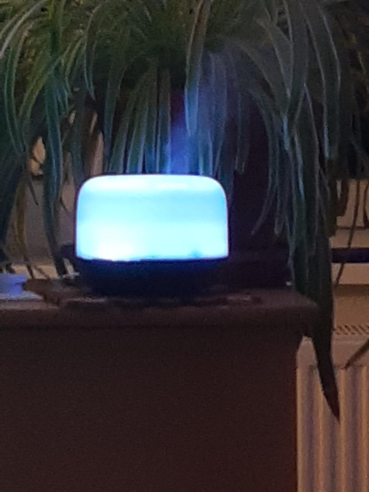 Riecht super frisch und hält ewig