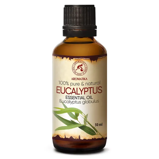 aromatika-therisches-eukalyptus-l-50-ml-eucalyptus-globulus image 1