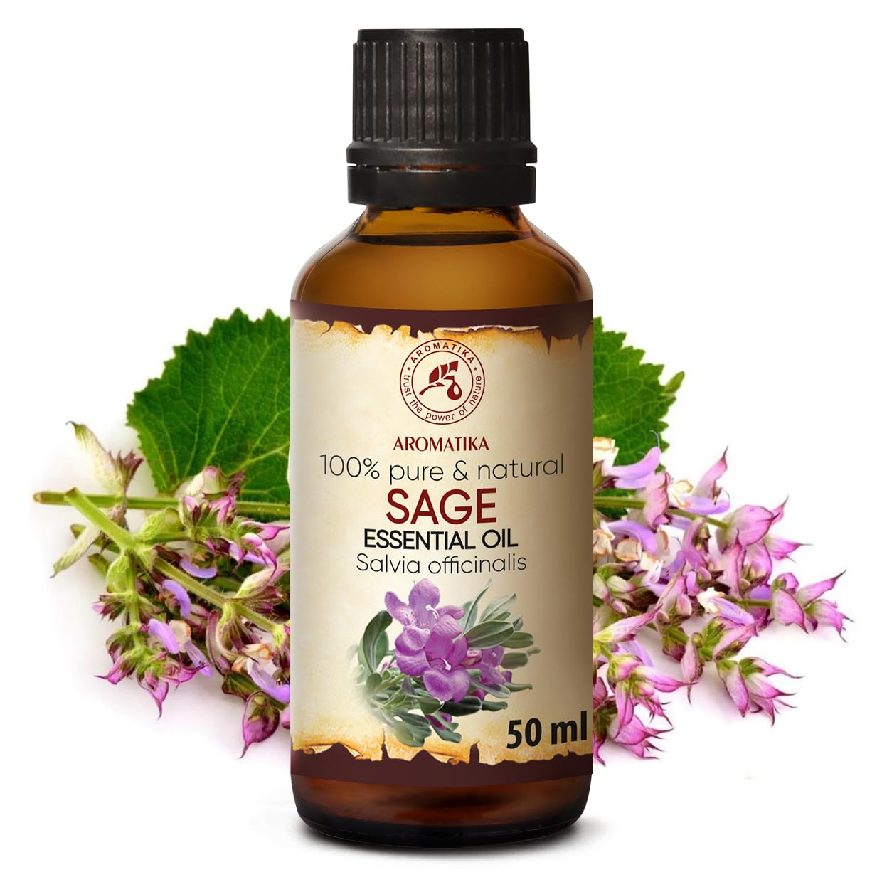 aromatika-muskatellersalbei-l-50ml-naturreines-therisches-l-salvia-sclarea image 2