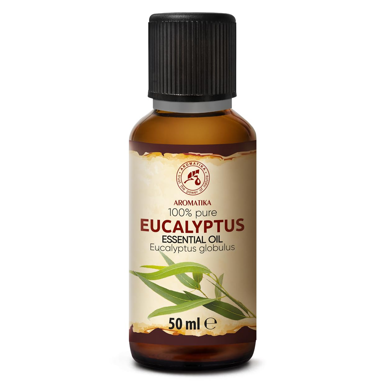 aromatika-therisches-eukalyptus-l-50-ml-eucalyptus-globulus image 4