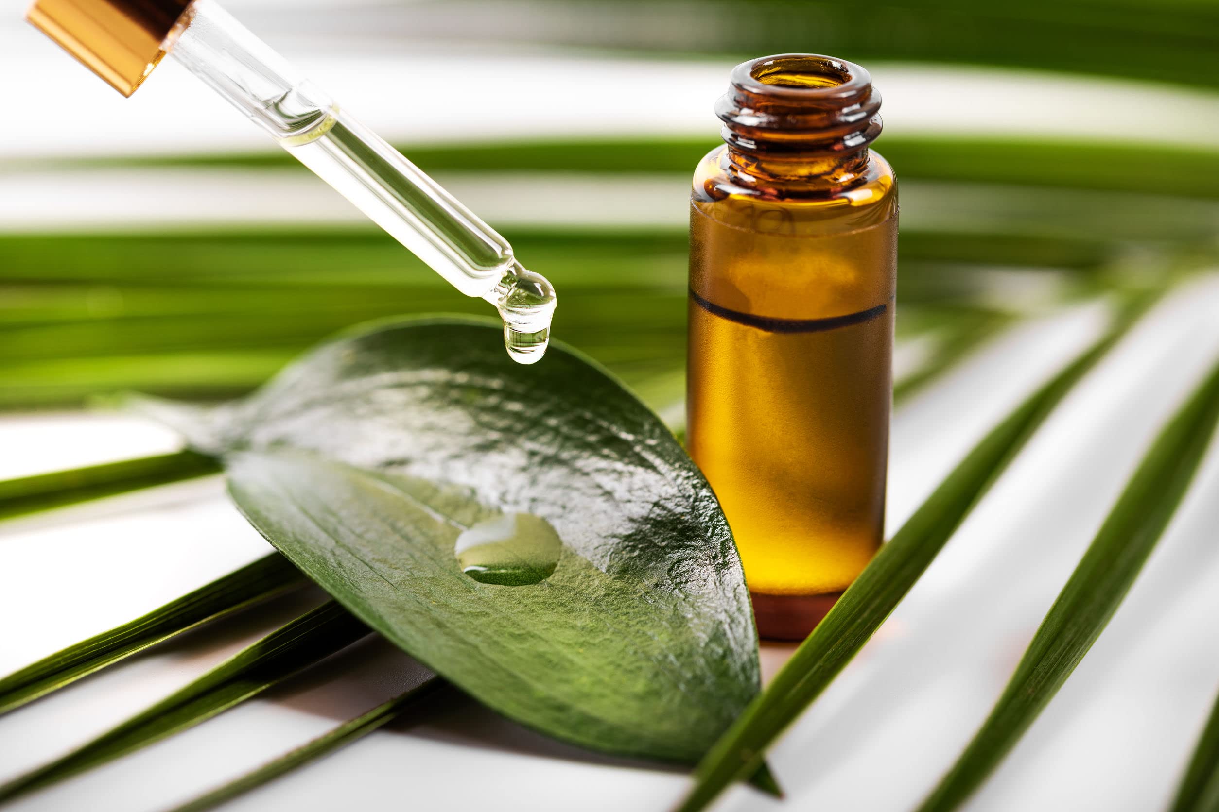 dufte-momente-eukalyptus-naturreines-therisches-l-10ml image 2
