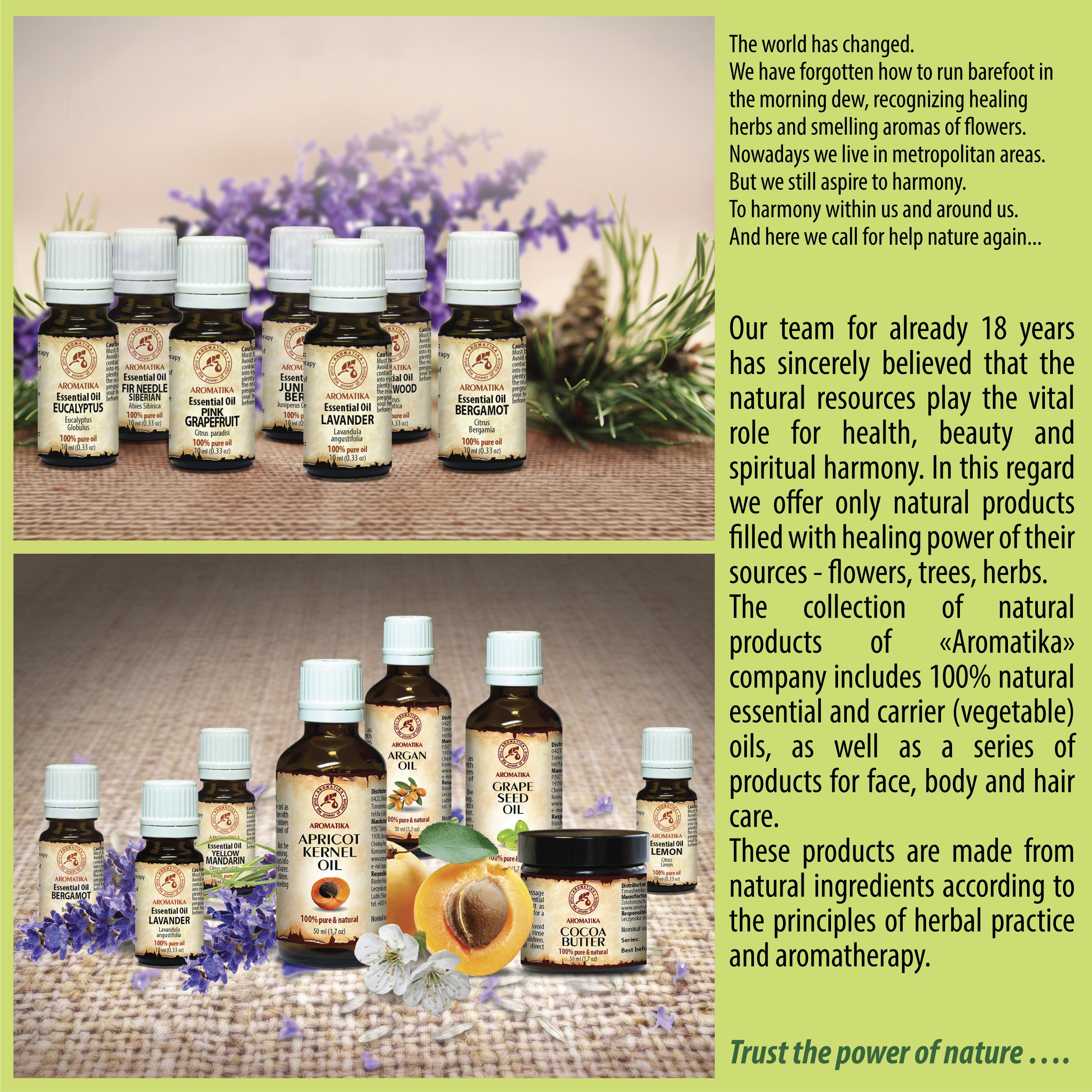 aromatika-kiefernnadel-l-20-ml-pinus-sylvestris-aus-sterreich image 5