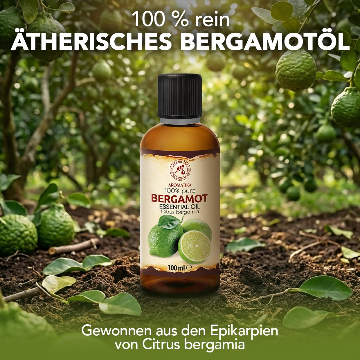 aromatika-therisches-bergamot-l-100-ml-citrus-bergamia-f-r-diffusor-diy image 2