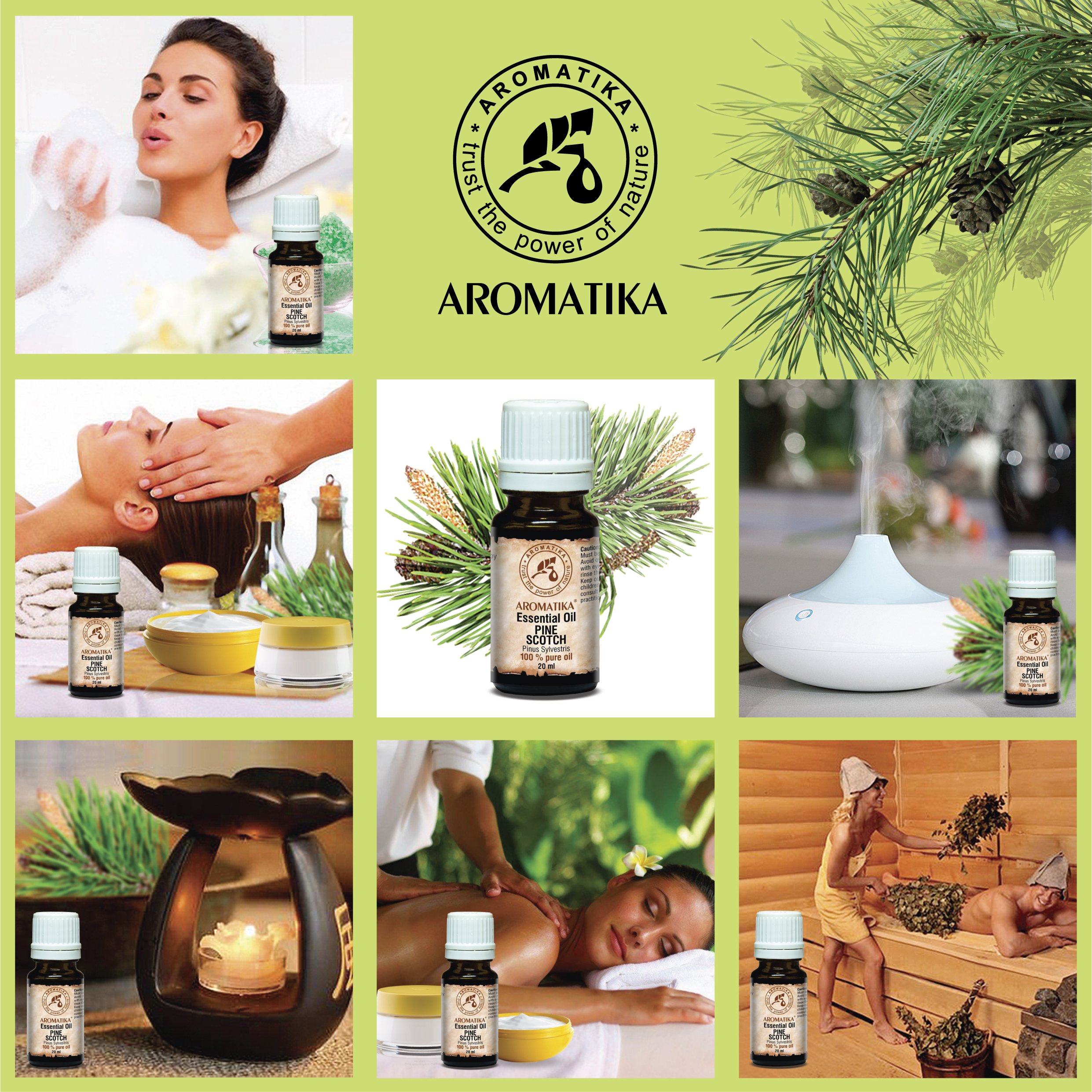 aromatika-kiefernnadel-l-20-ml-pinus-sylvestris-aus-sterreich image 4