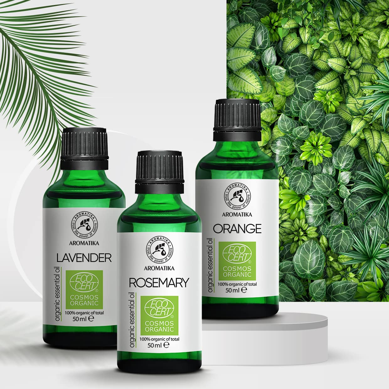 aromatika-bio-rosmarin-l-50ml-rosmarinus-officinalis-therisches-bio-l image 8