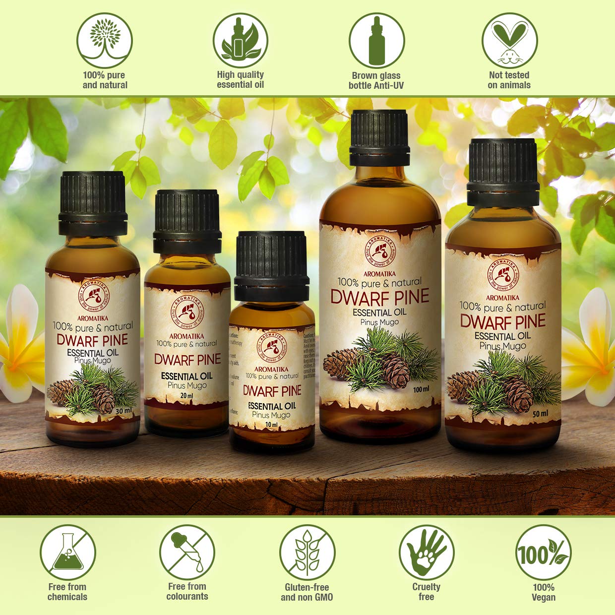 aromatika-latschenkiefer-l-30ml-pinus-mugo-aus-sterreich image 3