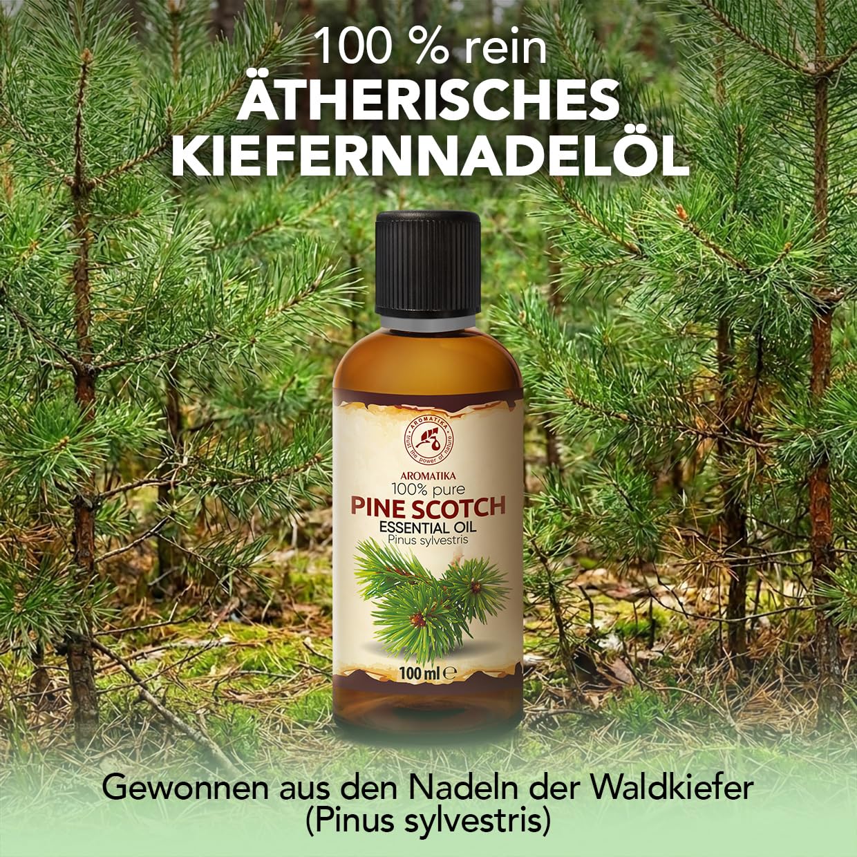 aromatika-kiefernnadel-therisches-l-100-ml-pinus-sylvestris image 2