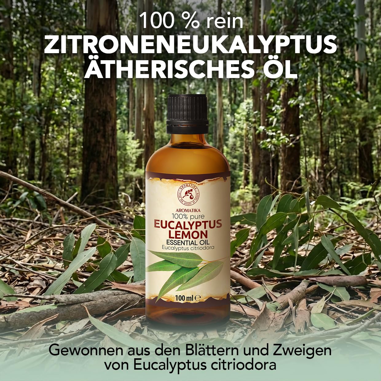 aromatika-zitroneneukalyptus-therisches-l-100-ml-eucalyptus-citriodora image 2